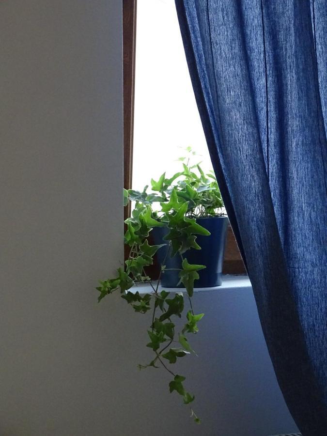 Blue Apartment Βελιγράδι Εξωτερικό φωτογραφία